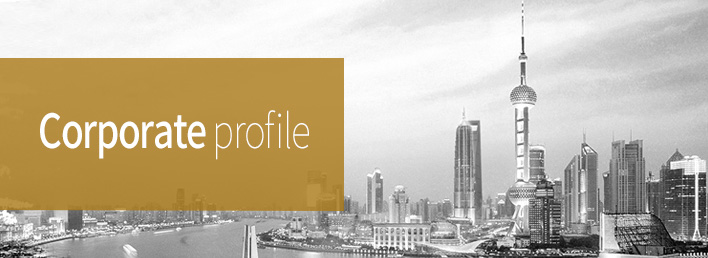 Corporate profile Corporate profile